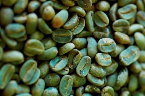 Pozitīvi un negatīvi vērtējumi: zaļā kafija svara zudumam - panaceja vai regulāra 